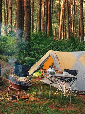 Garten und Outdoor