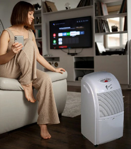 Wie funktioniert ein tragbarer Luftentfeuchter?