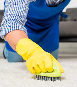 So reinigen Sie den Teppich