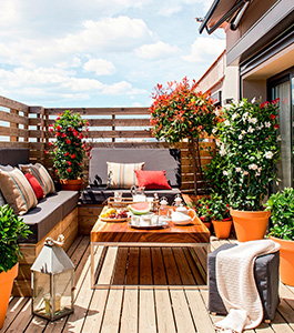 Erleben Sie die Natur in Ihrem Zuhause: Unsere Tipps zur Außenreinigung