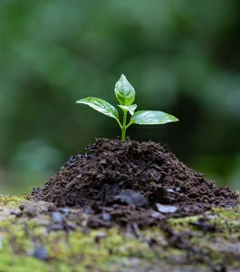 Eine neue Art der Reinigung unter Berücksichtigung der Natur.