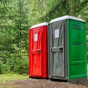 Chemisches Toilettenpapier offerte al miglior prezzo