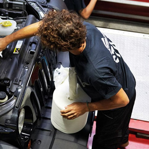 Papierrolle mit 800 Tränen offerte al miglior prezzo