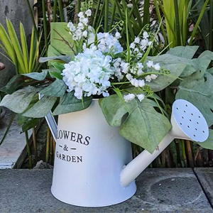 Gießkannen offerte al miglior prezzo