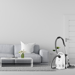 Leistungsstarker Schleppsauger offerte al miglior prezzo