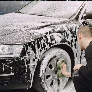 Außenreinigung offerte al miglior prezzo