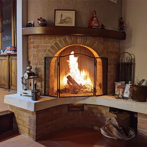 Professioneller Aschesauger offerte al miglior prezzo