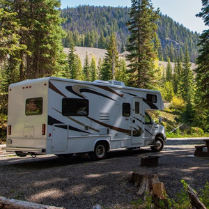 Toilettenpapier für Wohnmobile offerte al miglior prezzo