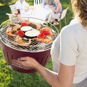 Tragbarer Holzkohlegrill offerte al miglior prezzo