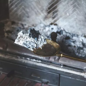 Kamin-Aschesauger offerte al miglior prezzo