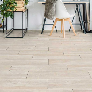 Reinigungsmittel für Feinsteinzeug offerte al miglior prezzo