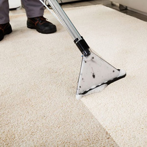 Reinigungsmittel für Extraktionsmaschinen offerte al miglior prezzo