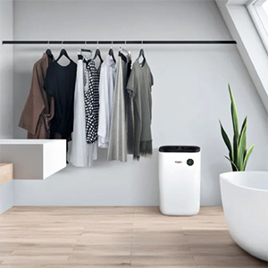 Tragbare Luftentfeuchter offerte al miglior prezzo