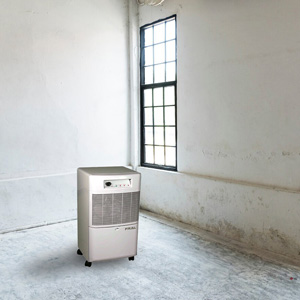 Professioneller tragbarer Luftentfeuchter offerte al miglior prezzo