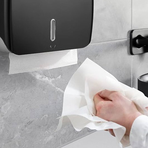 Spender für Papierhandtücher offerte al miglior prezzo