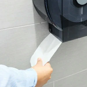 Spender für Toilettenpapier offerte al miglior prezzo