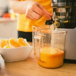 Professionelle Kaltsaftextraktoren offerte al miglior prezzo