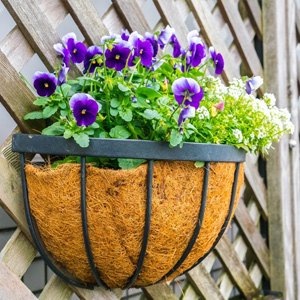 Blumenkästen offerte al miglior prezzo