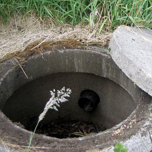 Toilettenpapier für Klärgruben offerte al miglior prezzo