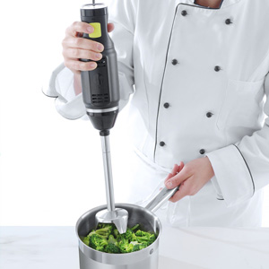 Professionelle Tauchmixer offerte al miglior prezzo