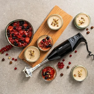 Tauchmixer offerte al miglior prezzo