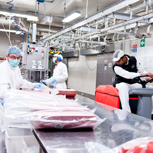 Reinigungsmittel für die Lebensmittelindustrie offerte al miglior prezzo