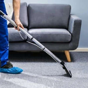 Teppichreiniger offerte al miglior prezzo