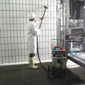 Professionelle Dampfmaschinen offerte al miglior prezzo