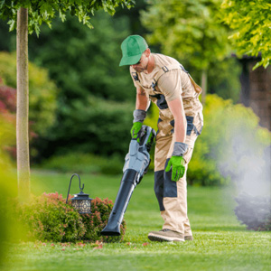 Pflege des Gartens offerte al miglior prezzo