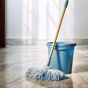 Professioneller Bodenwischer offerte al miglior prezzo