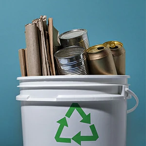 Mülltonnen, Teppiche und Müllsäcke offerte al miglior prezzo