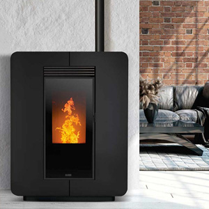 Pelletaschesauger offerte al miglior prezzo