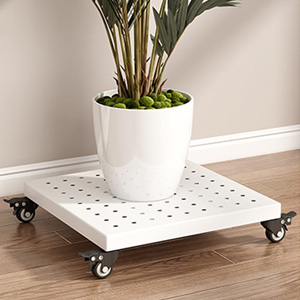 Pflanzenhalter offerte al miglior prezzo