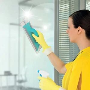 Fensterwaschanlagen offerte al miglior prezzo