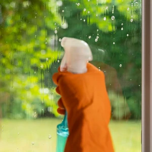 Spezifische Reinigungsmittel für die Fensterreinigung offerte al miglior prezzo