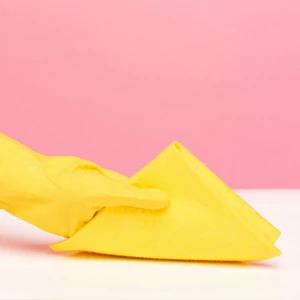 Schwämme offerte al miglior prezzo