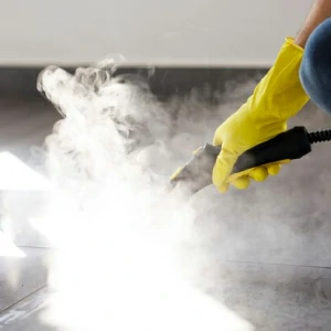 Dampfreinigung offerte al miglior prezzo