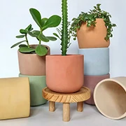 Vasen offerte al miglior prezzo