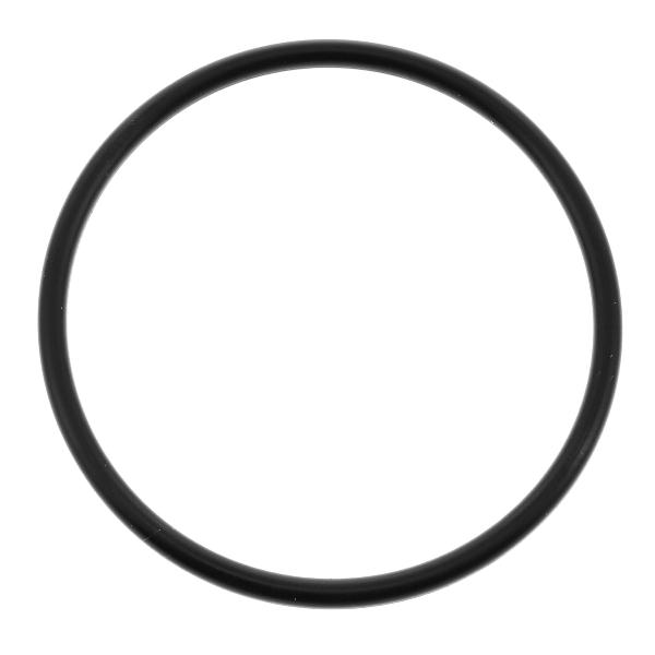 DICHTUNG FÜR NARBENPUMPE