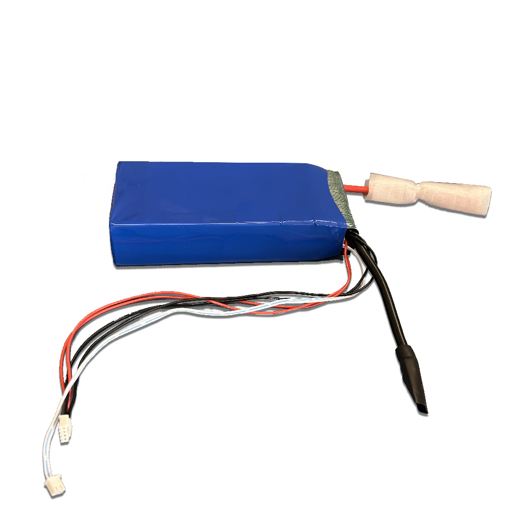 Batteria litio LiFePO4 10 Ah