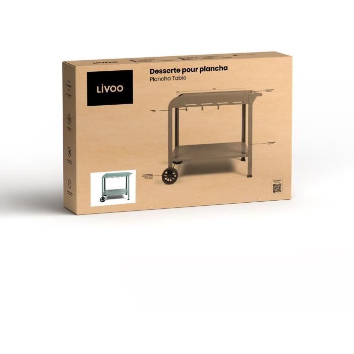 Bügeleisen - LIVOO - GS168V - Grün/Schwarz