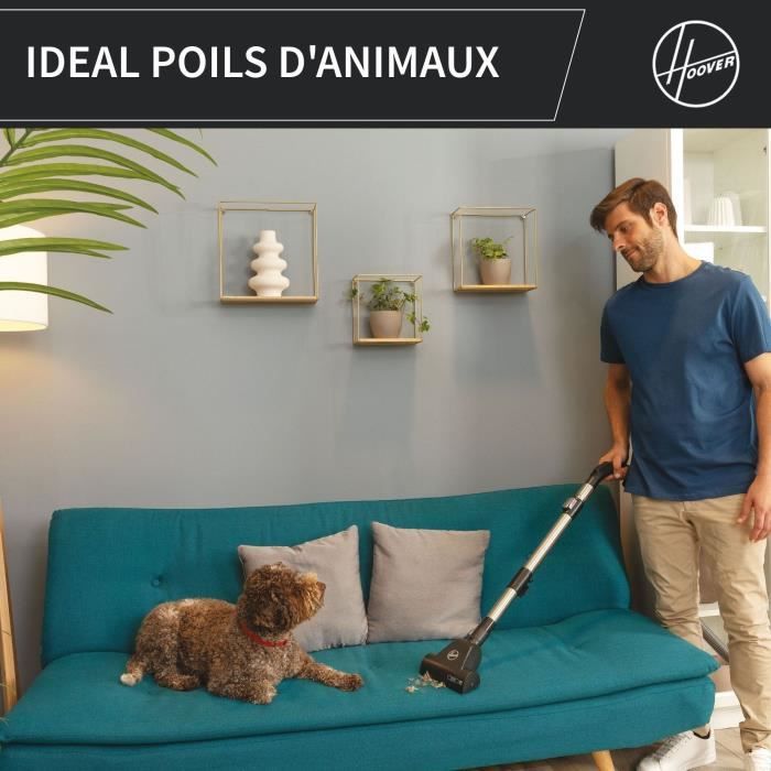 Staubsauger ohne Beutel - HOOVER - HP321PAF - 850 W - 75 dBA - 2 L - Grau