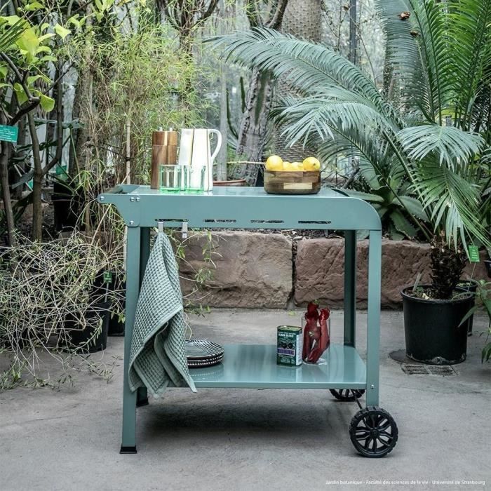 Bügeleisen - LIVOO - GS168V - Grün/Schwarz