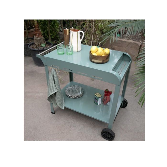 Bügeleisen - LIVOO - GS168V - Grün/Schwarz