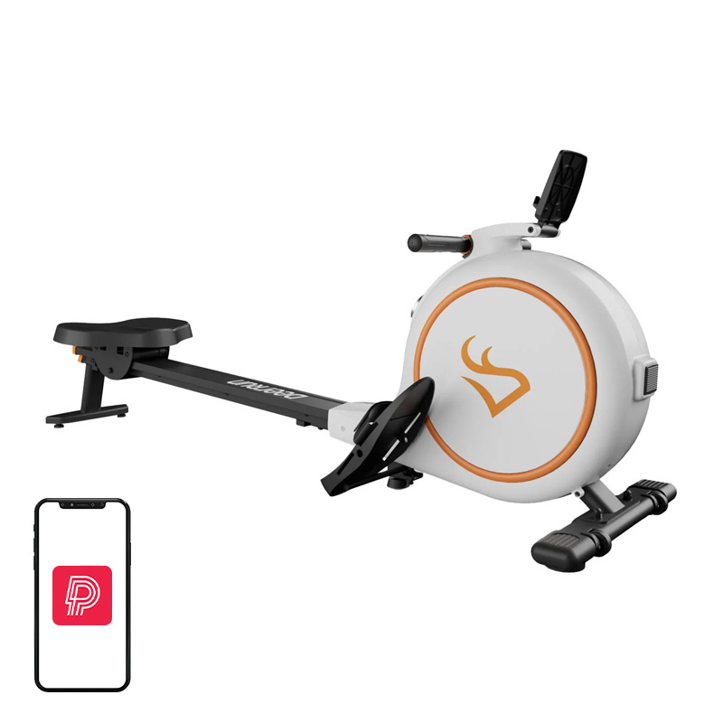 Deer Run RW600 Magnetic Bike (White) - Best Cardiovascular Workout for Your Home
