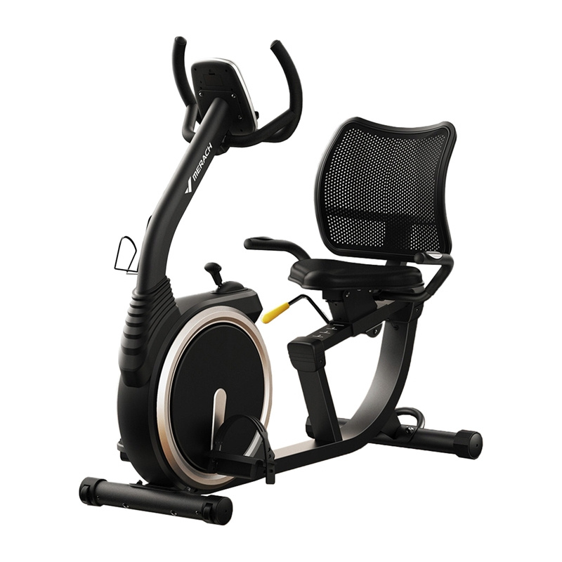 MERACH MR-S19 Recumbent Bike - SEO Optimized for E-commerce