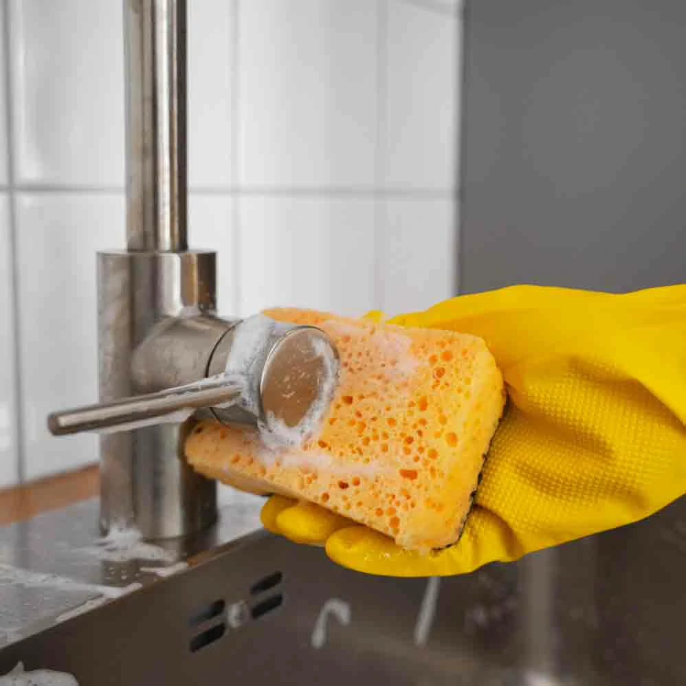 Spugna con abrasivo Widie