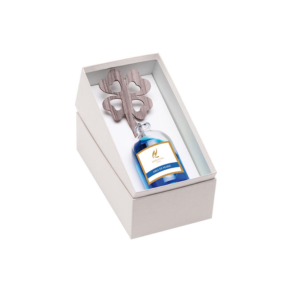 Raumdiffusor Sea Air mit Celluloseform 100 ml