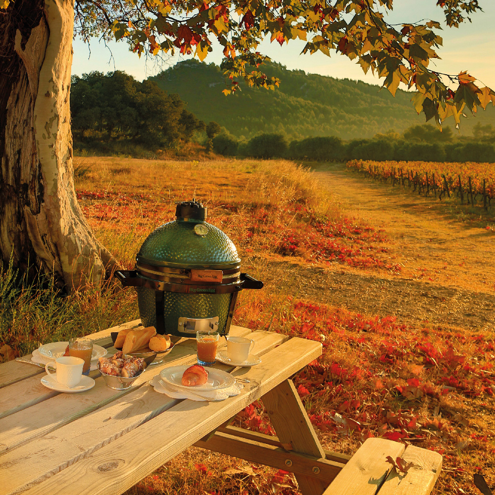 Mini Max Barbecue - Großes grünes Ei