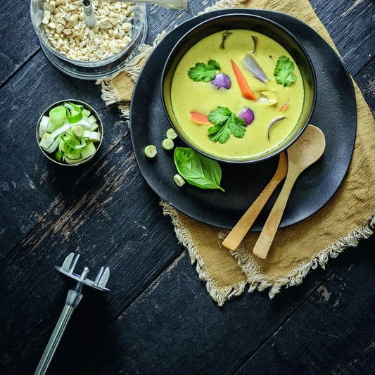 Bamix Mono M160 Pürierstab Schwarz